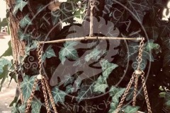 46471895_1167527890078780_2770082549609791488_n