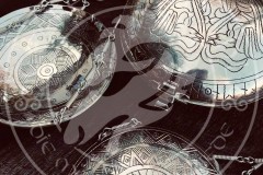 46492465_1167527660078803_1885990985159147520_n